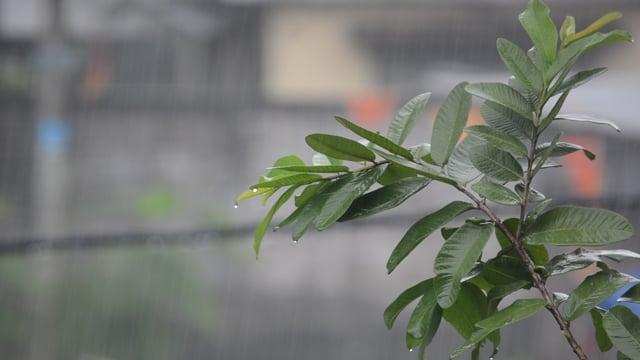 ঢাকায় আজও বৃষ্টি হতে পারে, তবে বাড়বে তাপমাত্রা